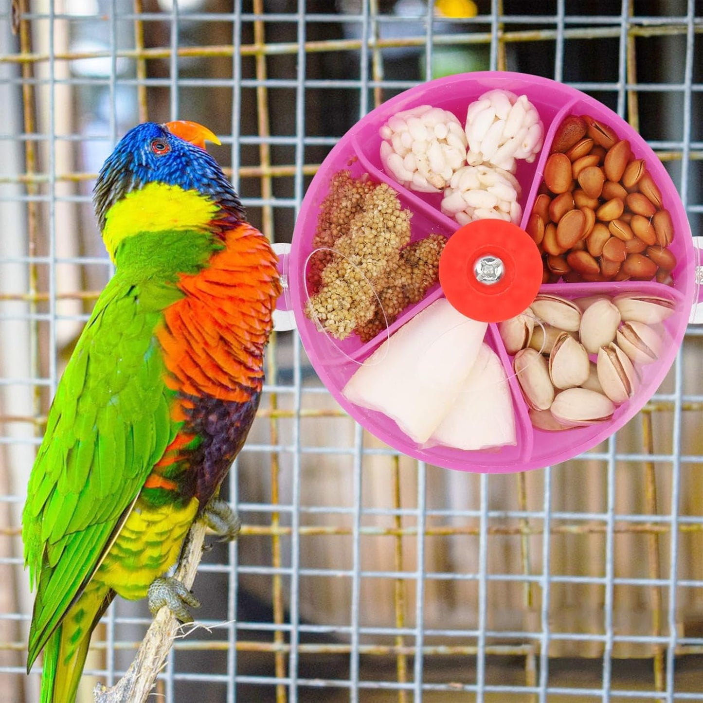 Bird Creative Foraging System Wheel Seed Food Ball Rotate Training Toy for Small and Medium Parrots Parakeet Cockatiel Conure